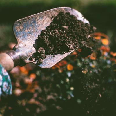 A productive vegetable garden managed with permaculture methods