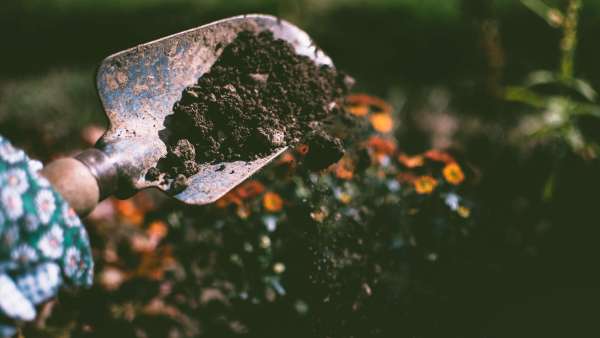 A productive vegetable garden managed with permaculture methods
